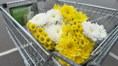 Blumen im Einkaufswagen.