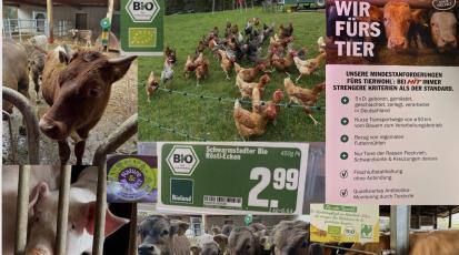 Fotocollage mit Nutztieren und Bio-Labeln