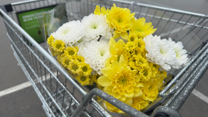 Blumen im Einkaufswagen.