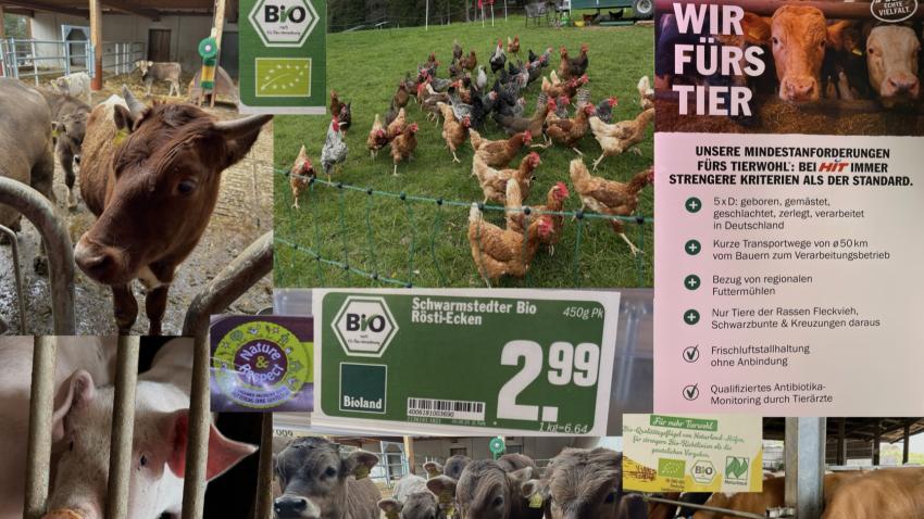 Fotocollage mit Nutztieren und Bio-Labeln