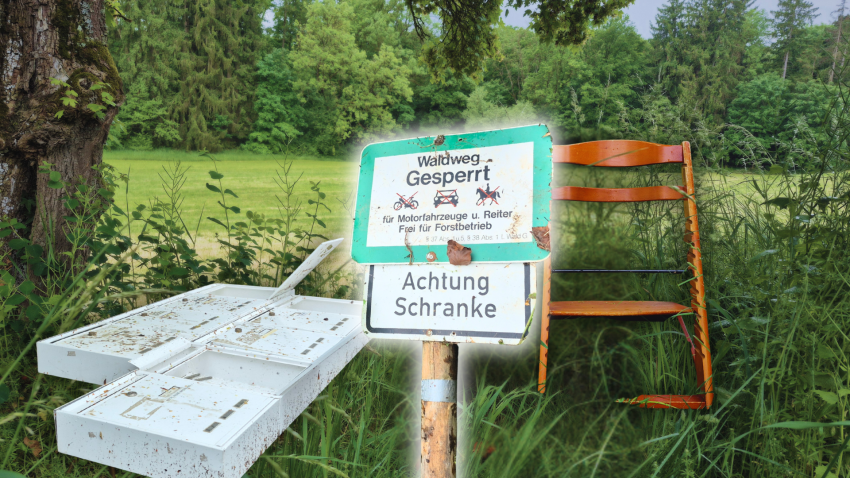 Müllablagerungen im Wald Stuttgarts