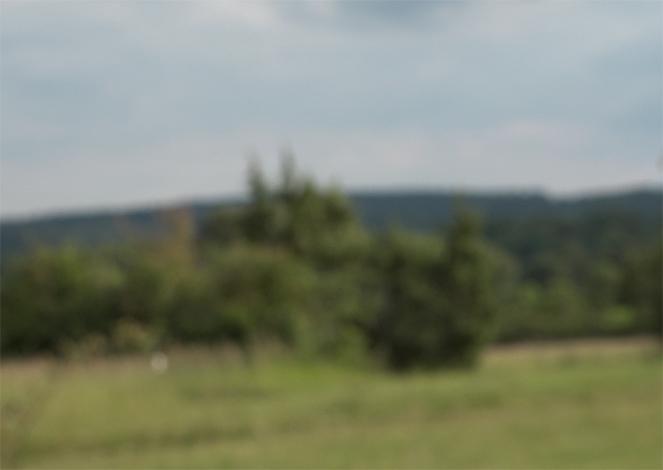 Eine verschwommene Landschaft wird gezeigt