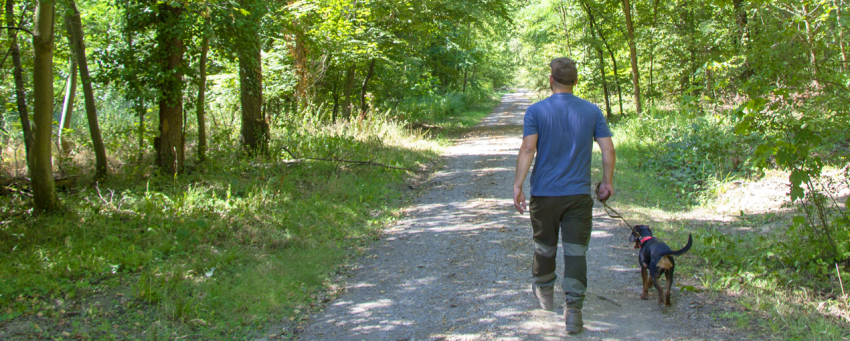 Förster Jens läuft mit seiner Hündin durch den Wald