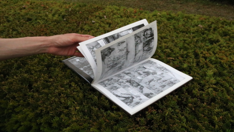 A hand browsing through a graphic novel.