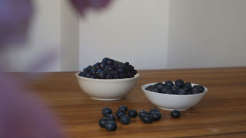 Heidelbeeren und Açai-Beeren stehen in zwei Schalen auf einem Tisch und werden gegenübergestellt.