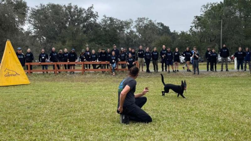 Ein Mann trainiert mit einem Hund, während mehrere ihm zuschauen