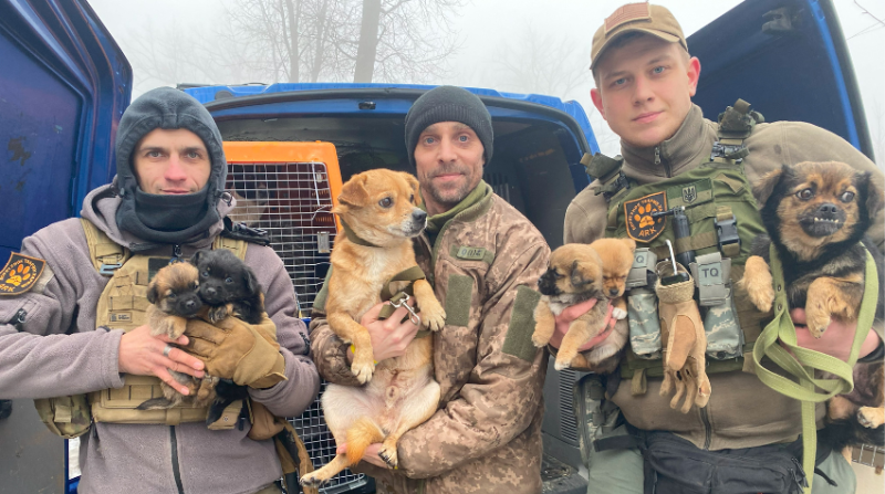 Soldaten, die Hunde auf den Armen halten.